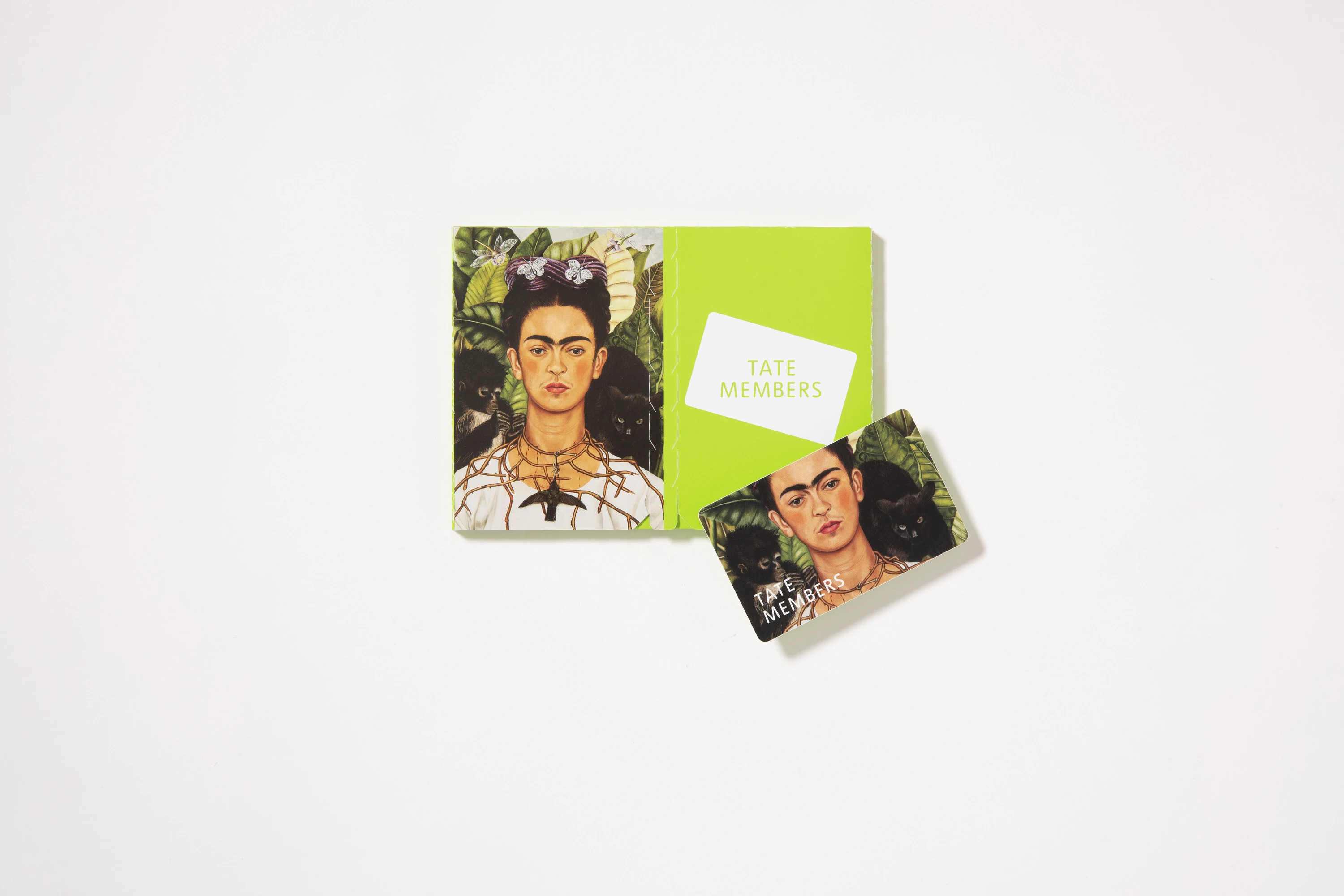 Frida: The Making of an Icon at Tate Modern