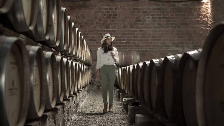 La Ruta del Vino en Río Negro La Ruta del Vino en Río Negro