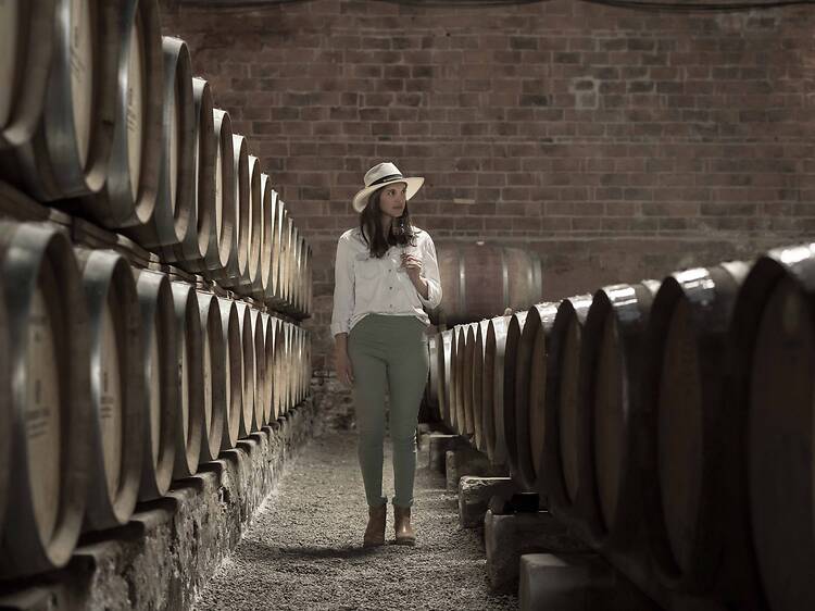 La Ruta del Vino en Río Negro La Ruta del Vino en Río Negro