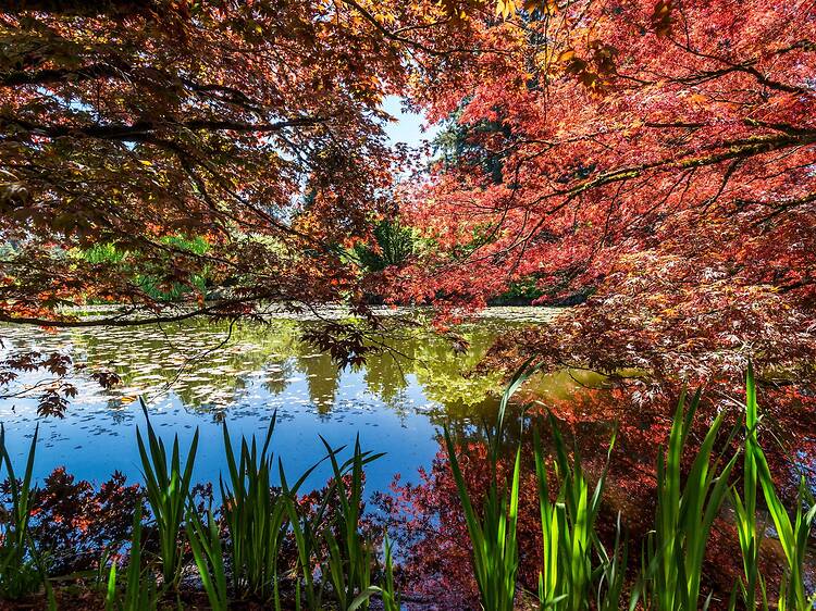 VanDusen Botanical Garden