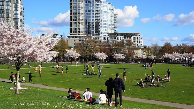 David Lam Park