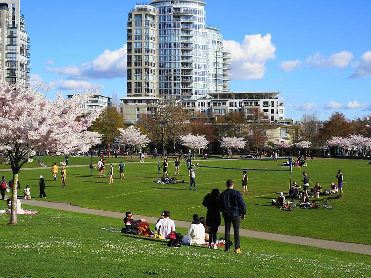David Lam Park