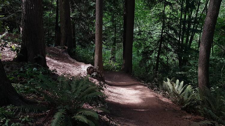 Everett Crowley Park