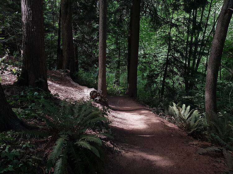 Everett Crowley Park