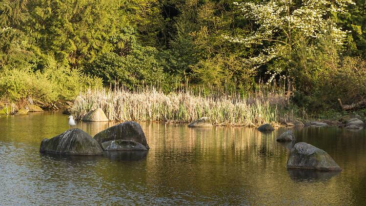 Charleson Park