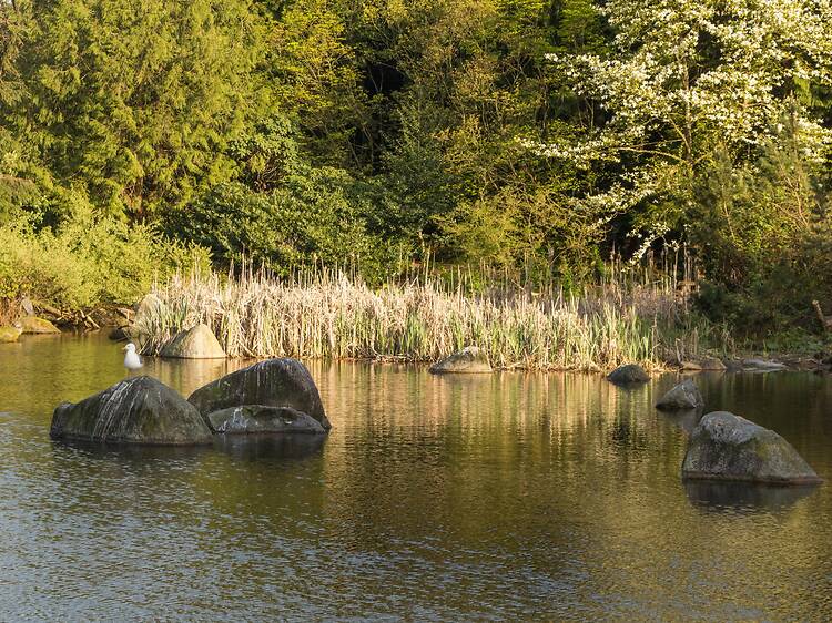 Charleson Park