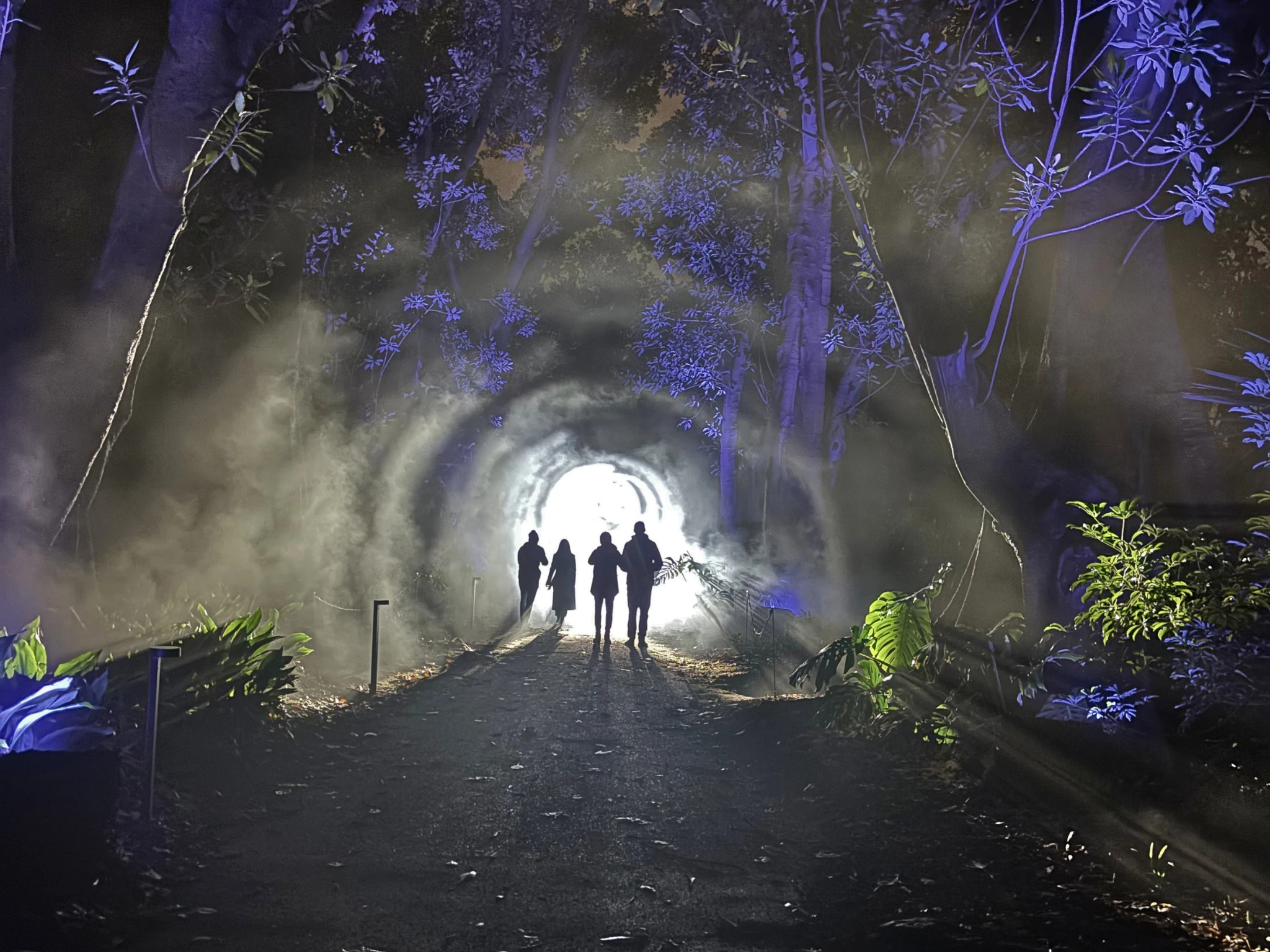 Night Visions at Illuminate Adelaide