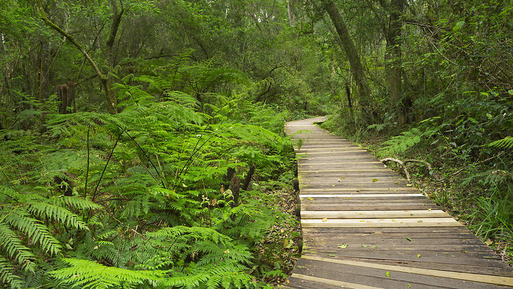 Garden of Eden Garden of Eden