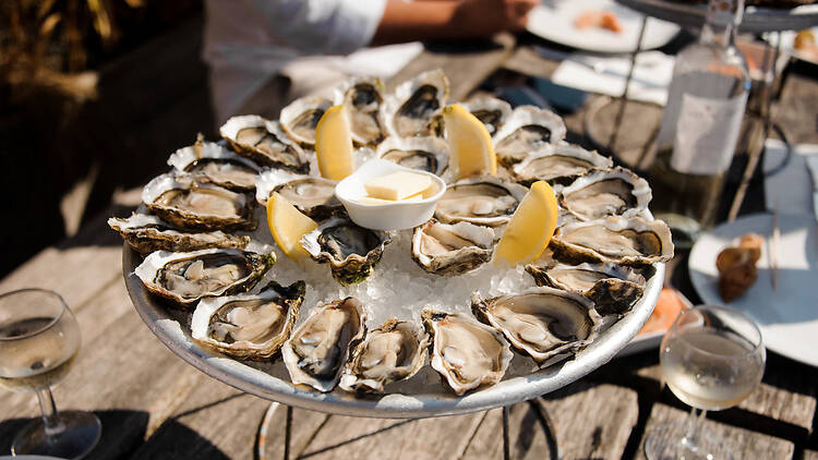 Fresh Oysters Fresh Oysters