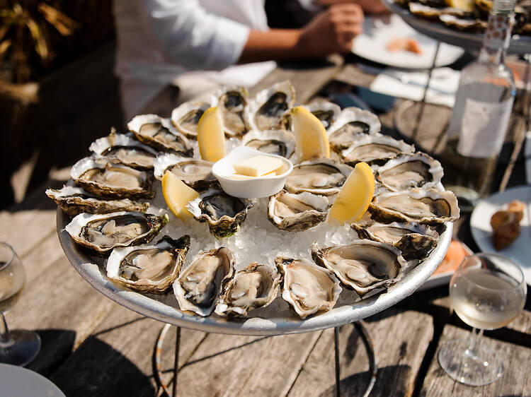 Fresh Oysters Fresh Oysters