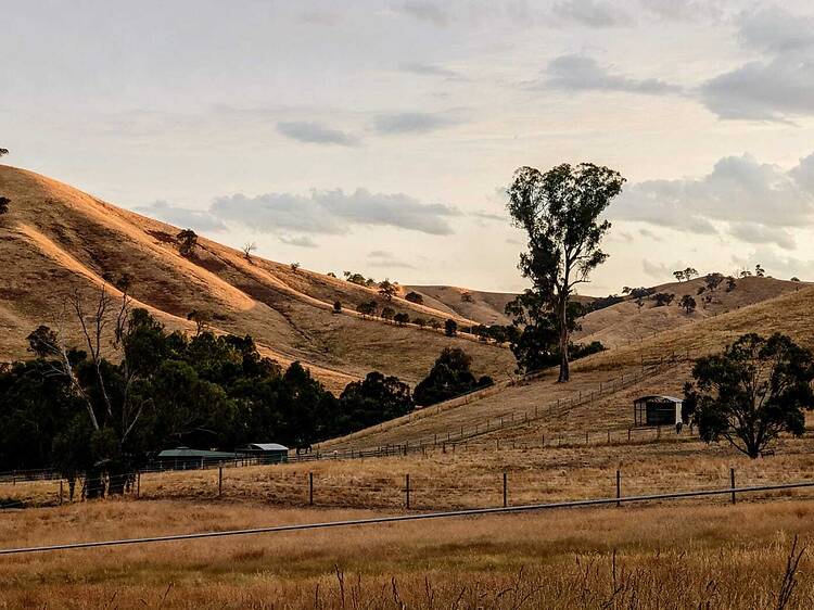 These magical wild camping sites are all within a two-hour drive from Melbourne