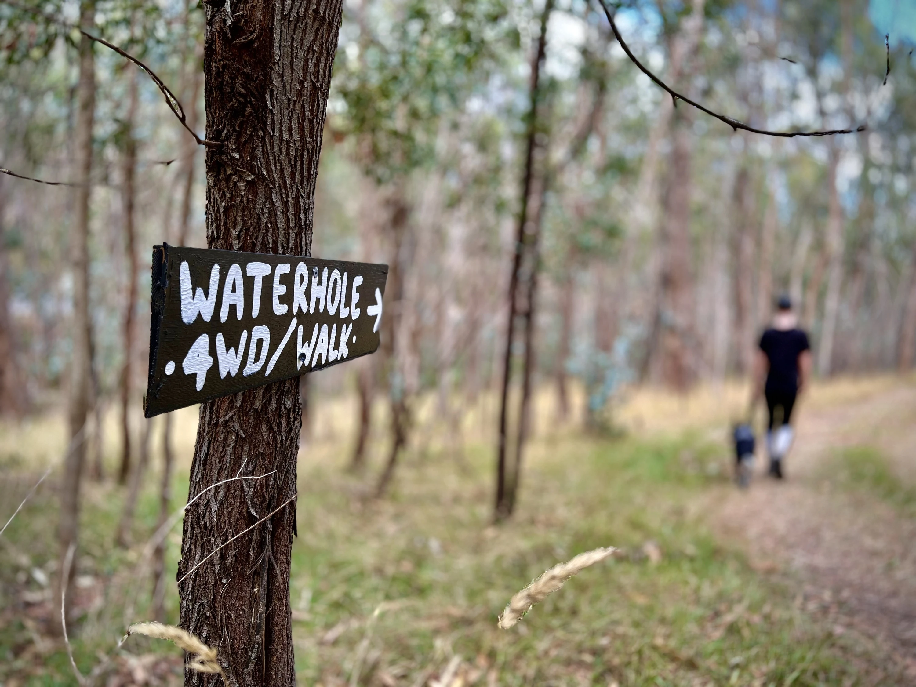 Bushy Ridge Hideaway, Flowerdale