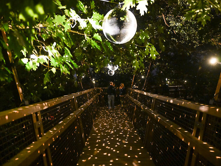 Serralves em Luz: o espectáculo mais luminoso do Porto está de volta com 20 instalações inéditas Serralves em Luz: o espectáculo mais luminoso do Porto está de volta com 20 instalações inéditas
