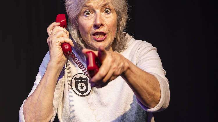 The Mystery of Pleasance Two The Mystery of Pleasance Two