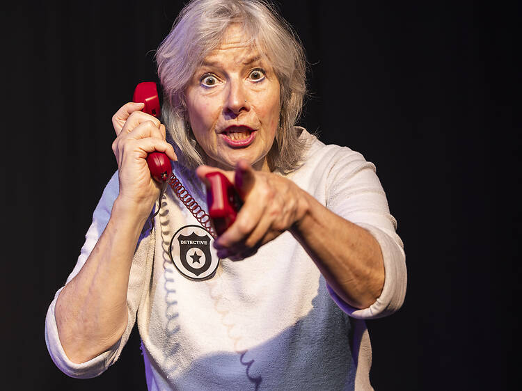 The Mystery of Pleasance Two The Mystery of Pleasance Two