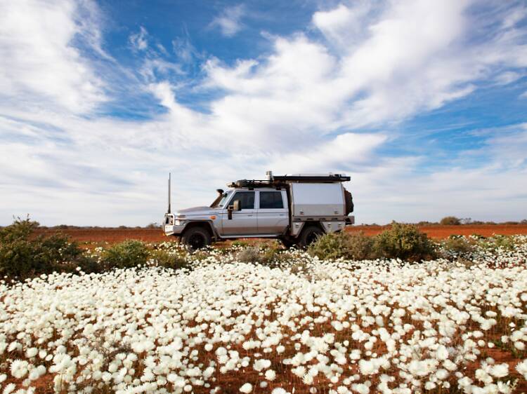 Gascoyne-Murchison Regions, WA Gascoyne-Murchison Regions, WA