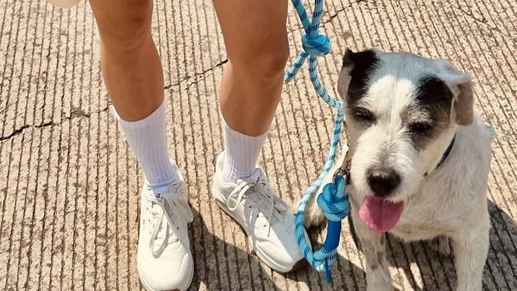 NUDOG