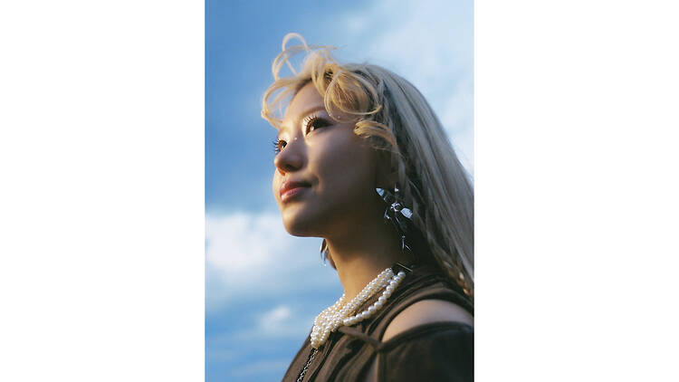 YonYon