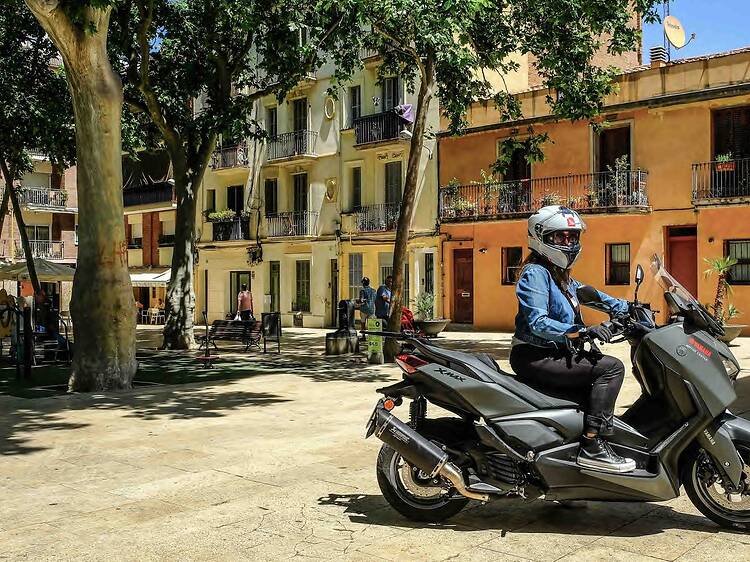 Un punt de trobada: la plaça de Bacardí