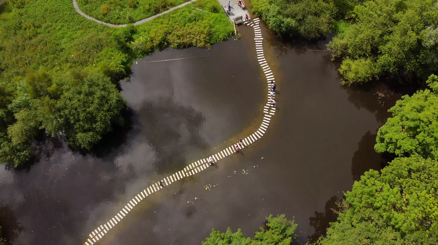 WWT Martin Mere Wetland Centre stepping stones from above
