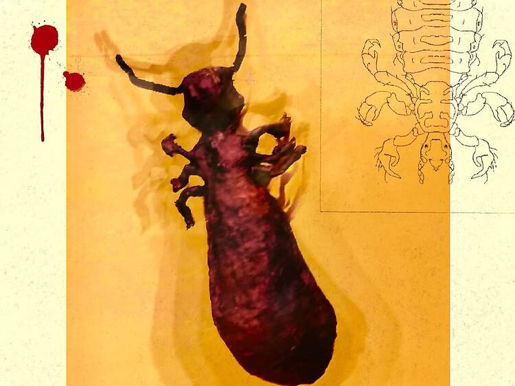 This shadow puppet show wants your lice, DNA, and evening This shadow puppet show wants your lice, DNA, and evening