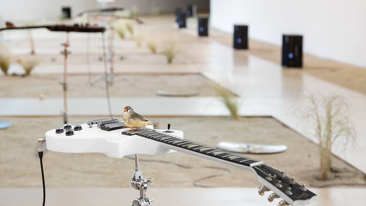 'from here to ear v.26', de Céleste Boursier-Mougenot