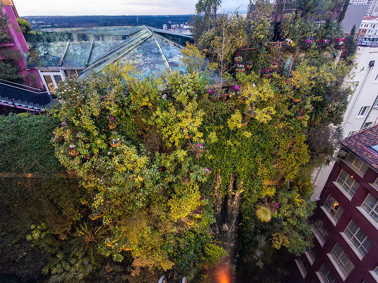 Los jardines verticales más impresionantes de Madrid Los jardines verticales más impresionantes de Madrid