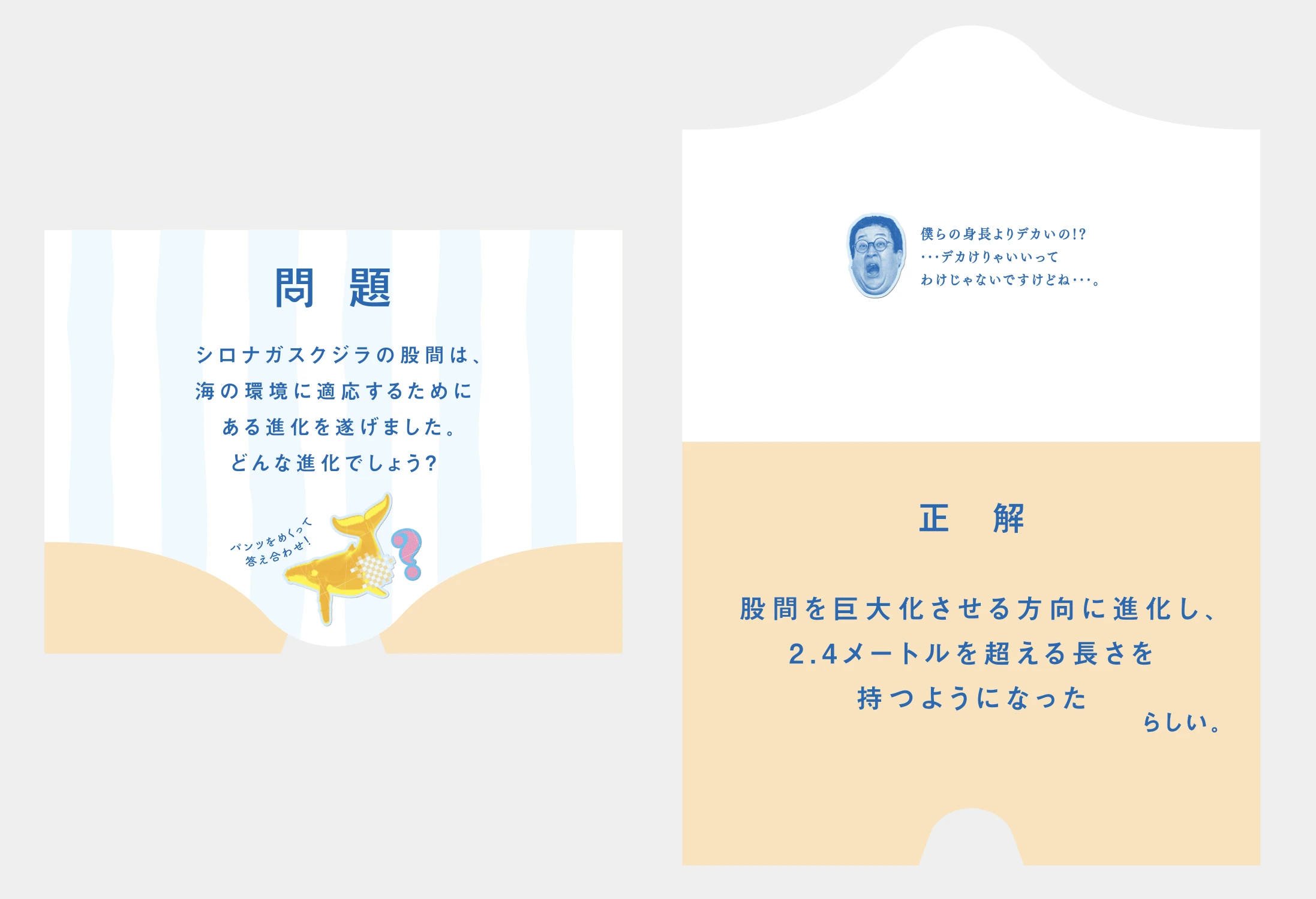 オマターランド ～自分の股間と向き合ってみよう展～