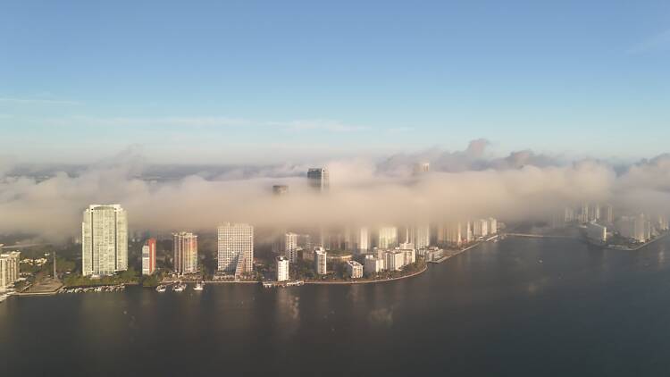 Foggy Miami Foggy Miami