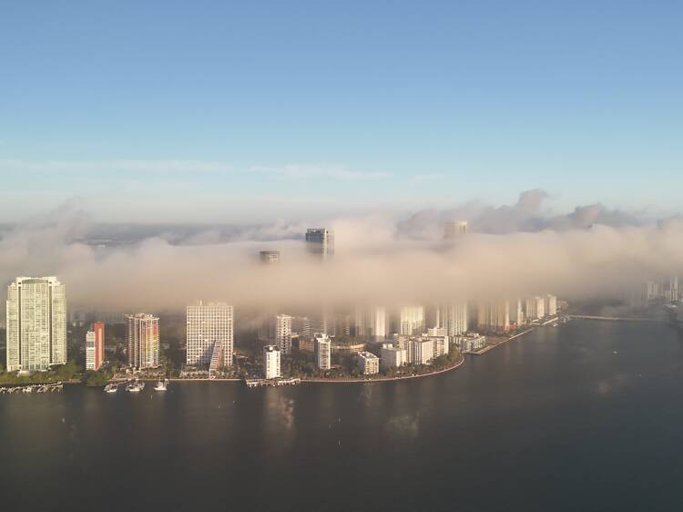 Saharan dust has reached Miami: here is what that means for locals