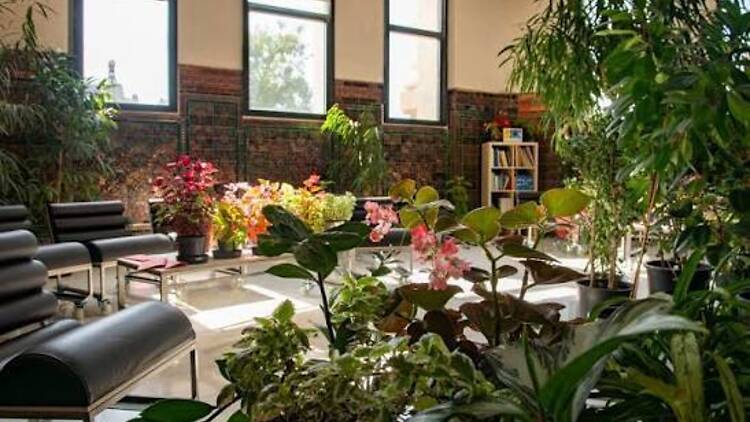 Espacio Cultural Vegetal (CentroCentro). Espacio Cultural Vegetal (CentroCentro).