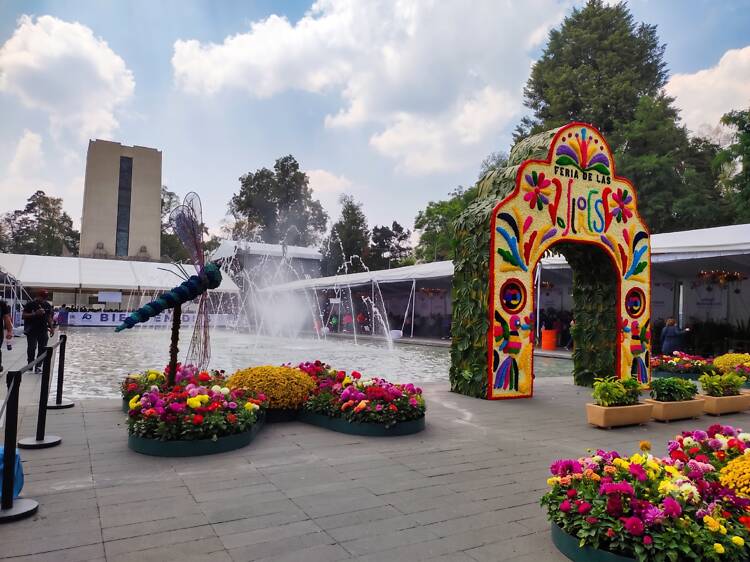 Feria de las Flores en San Ángel 2026
