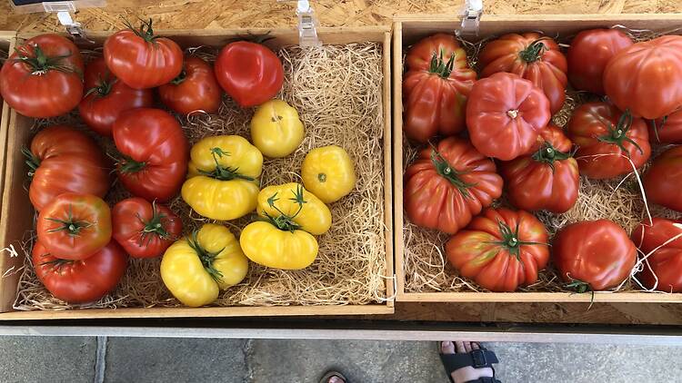 Besök Tomatens hus Besök Tomatens hus