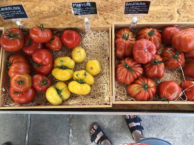 Besök Tomatens hus Besök Tomatens hus