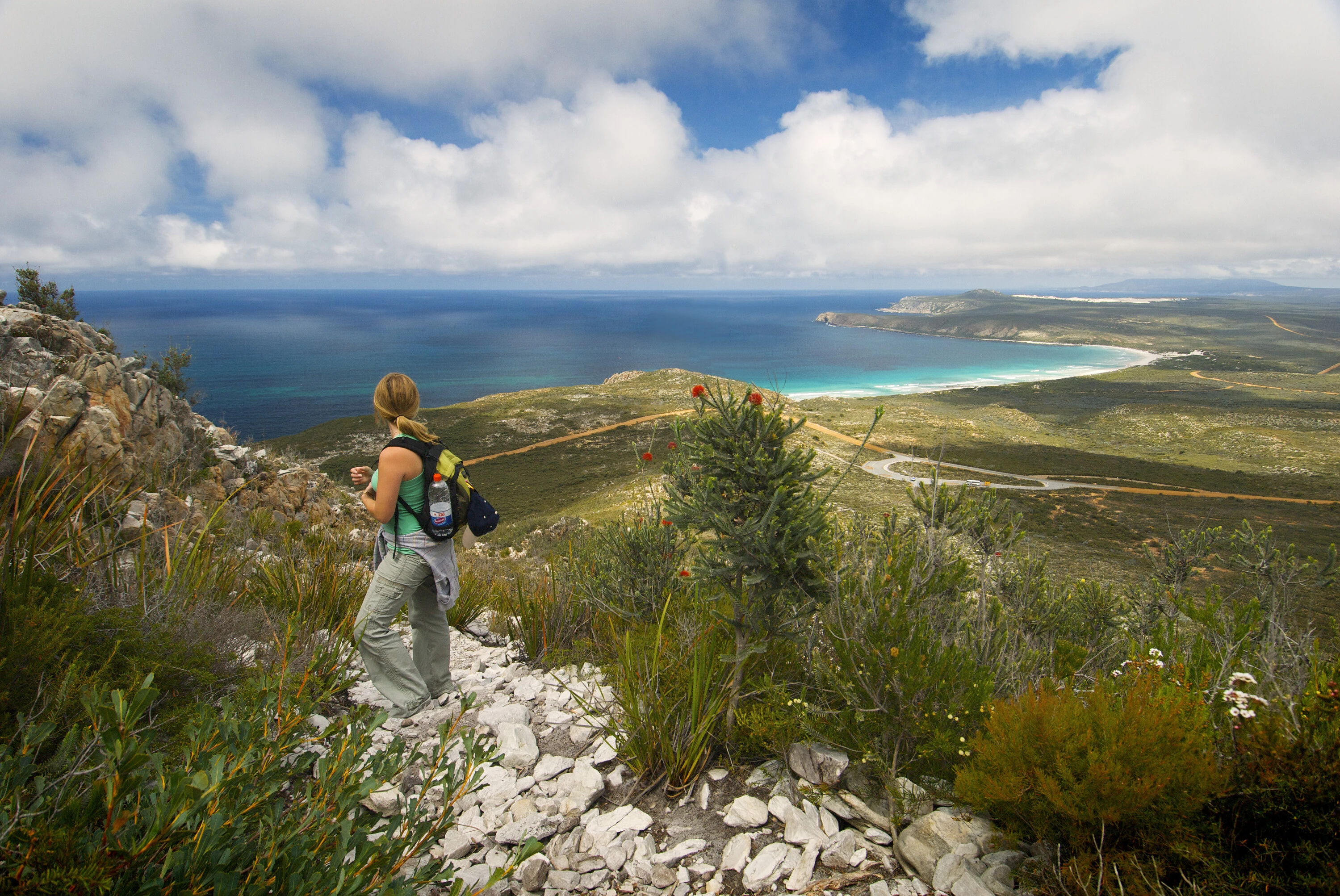 View of Mylies Beach from the track to East Mount Barren