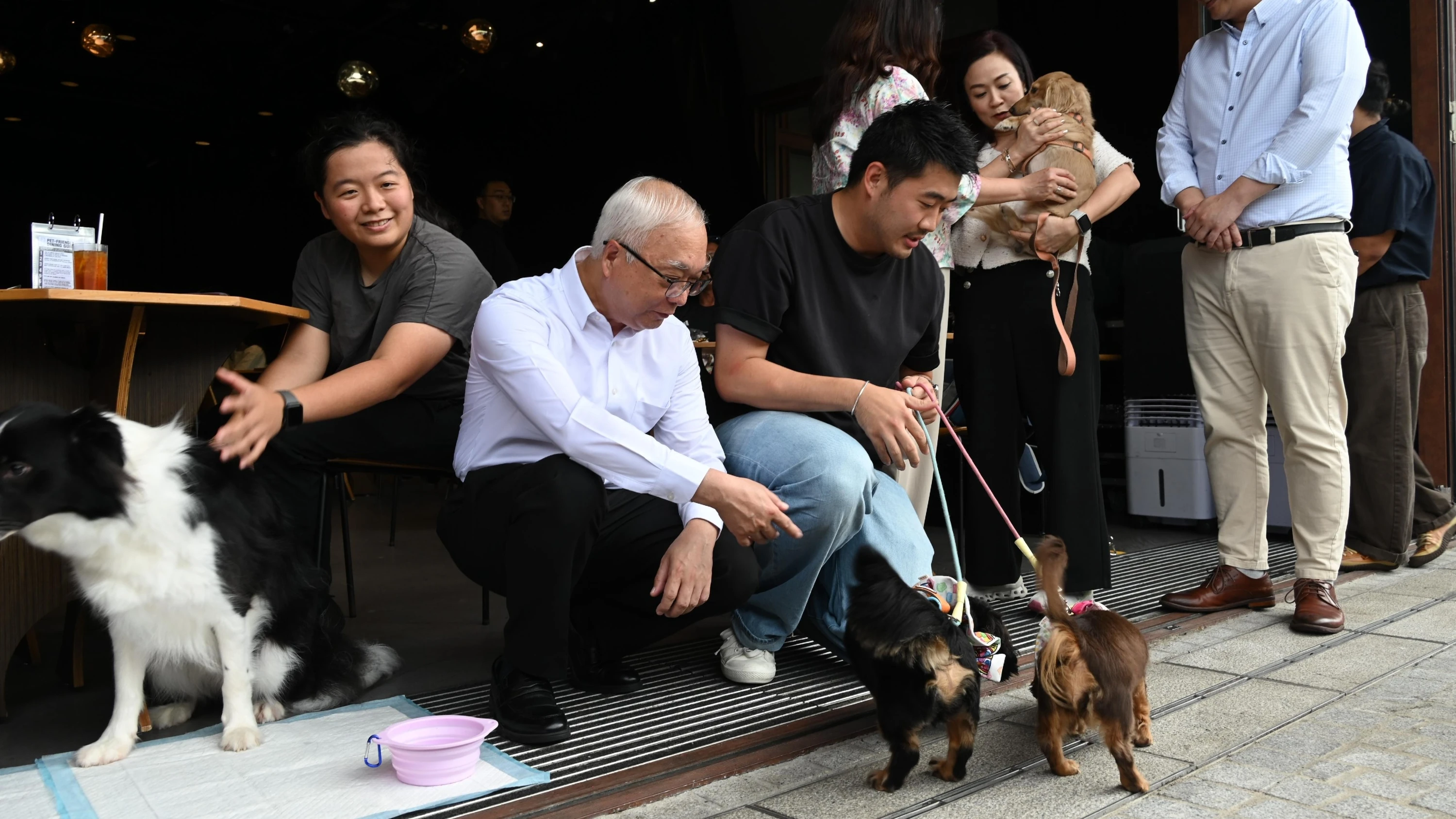 Dog friendly pet friendly restaurant