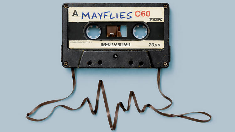 Mayflies