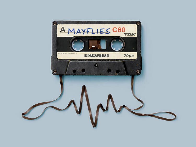 Mayflies