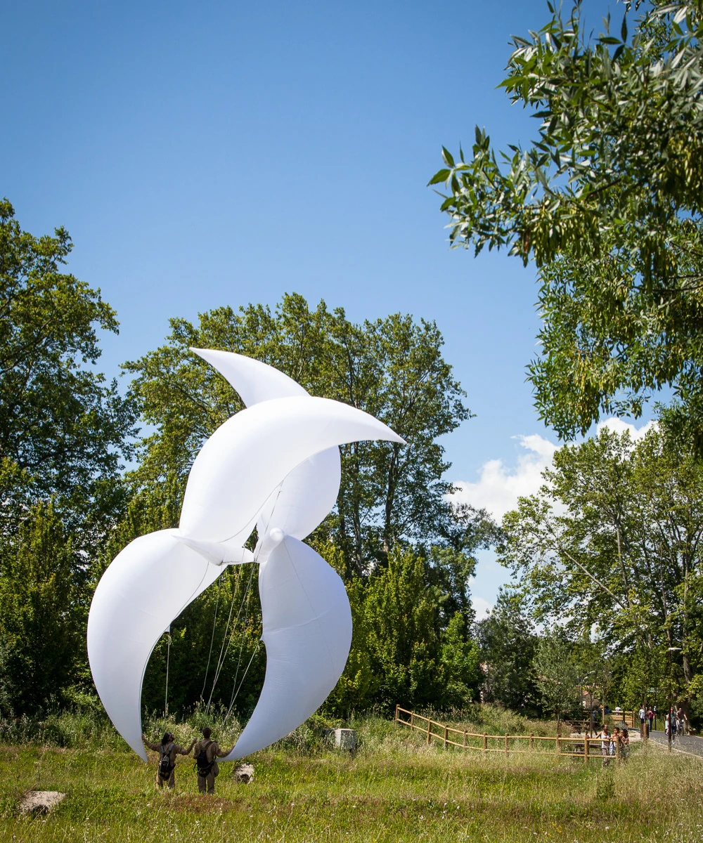 Une structure de la compagnie A&eacute;rosculpture