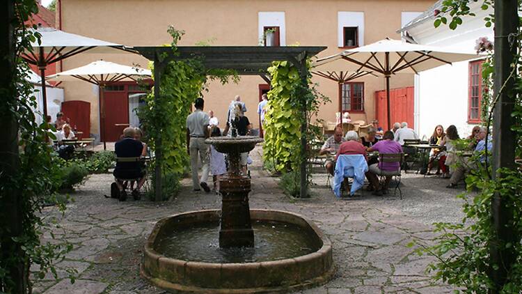 Fika i det gröna i Katrinetorp Fika i det gröna i Katrinetorp