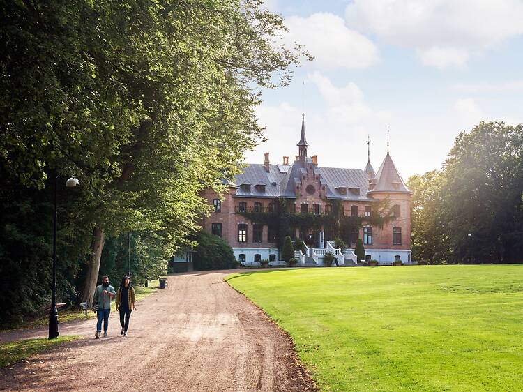 Dyk ner i ett blomsterhav på Sofiero slott Dyk ner i ett blomsterhav på Sofiero slott