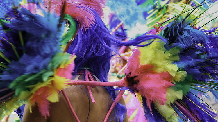 Close-up view of a person wearing feathered costume. Close-up view of a person wearing feathered costume.