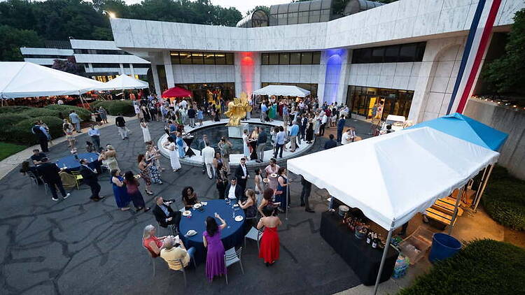Garden Party at the Embassy of France