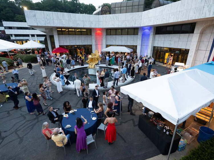 Garden Party at the Embassy of France