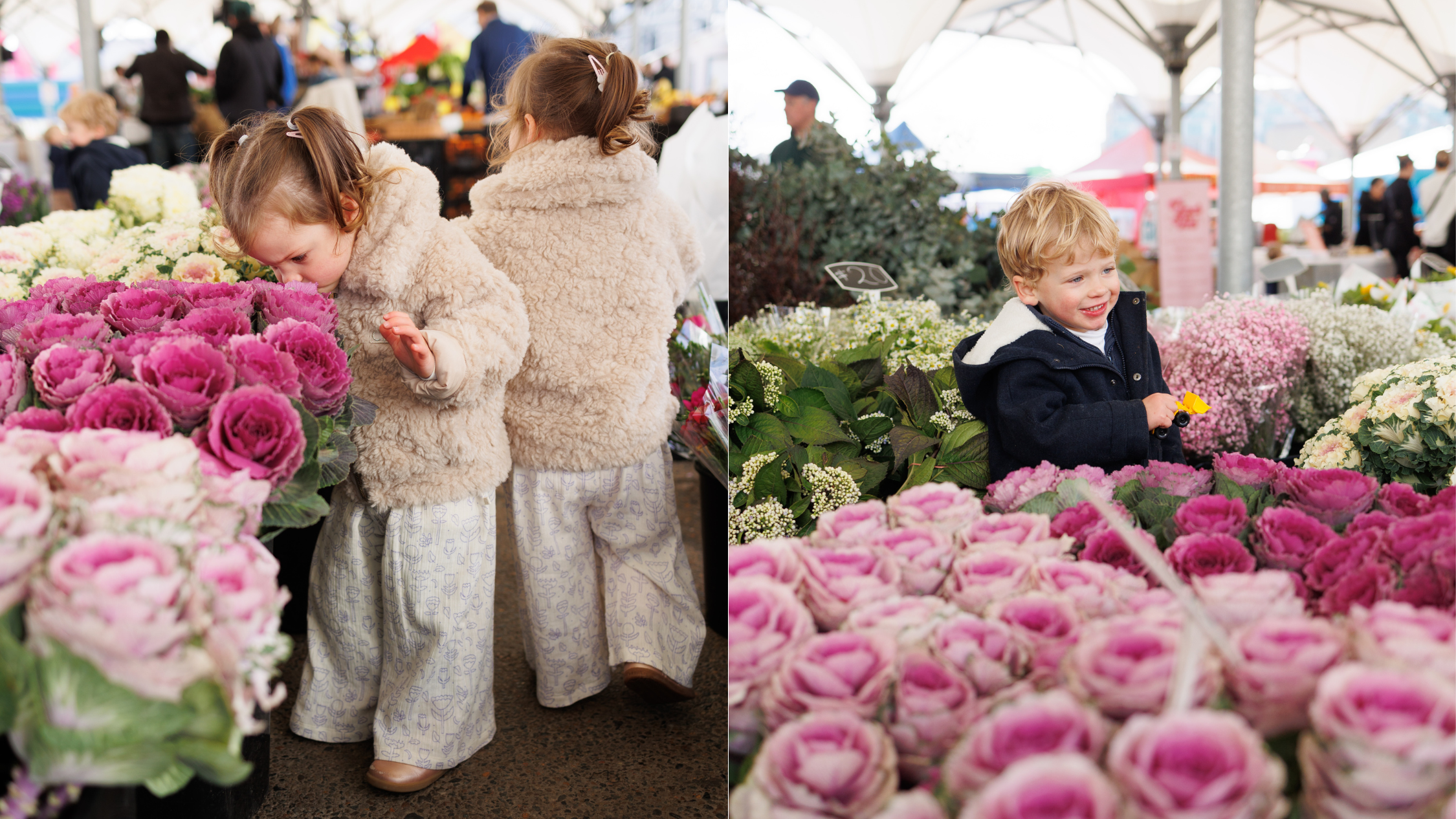 timeout.com - Winnie Stubbs - EQ Markets - free twice-weekly markets in Sydney