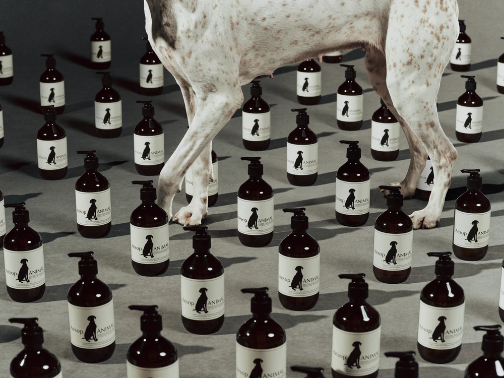 Aesop Animal wash