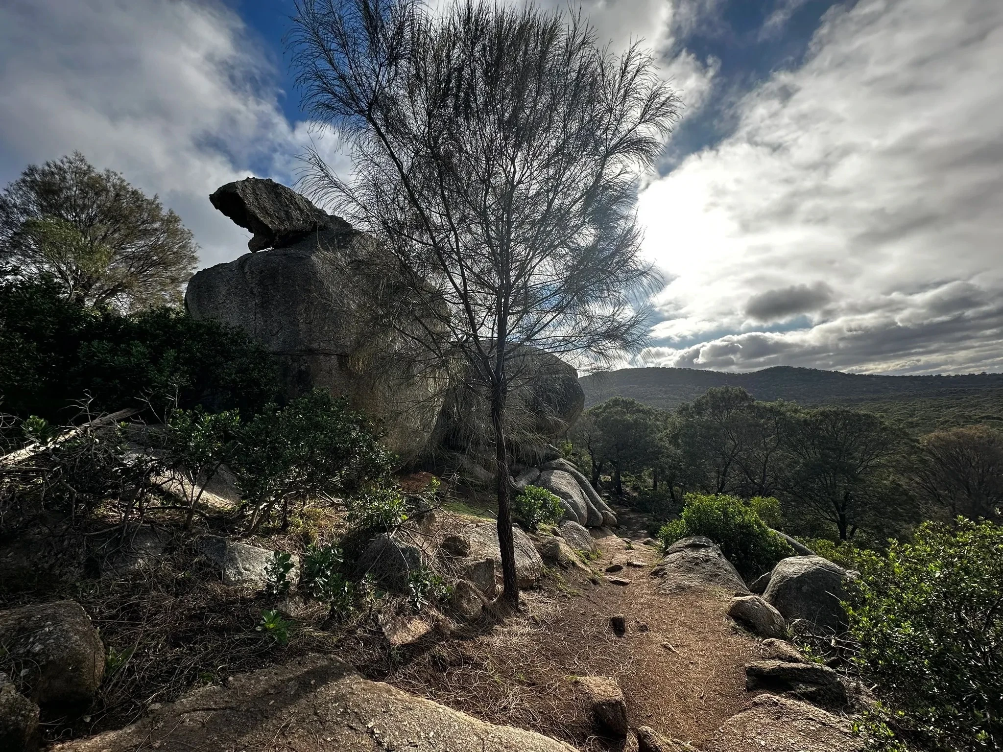 Saddleback Track hike