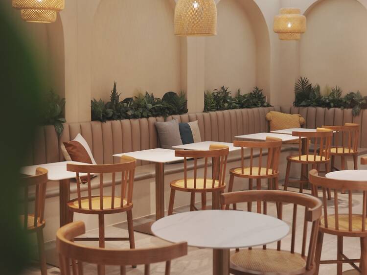 港島寵物友善餐廳：Cosha