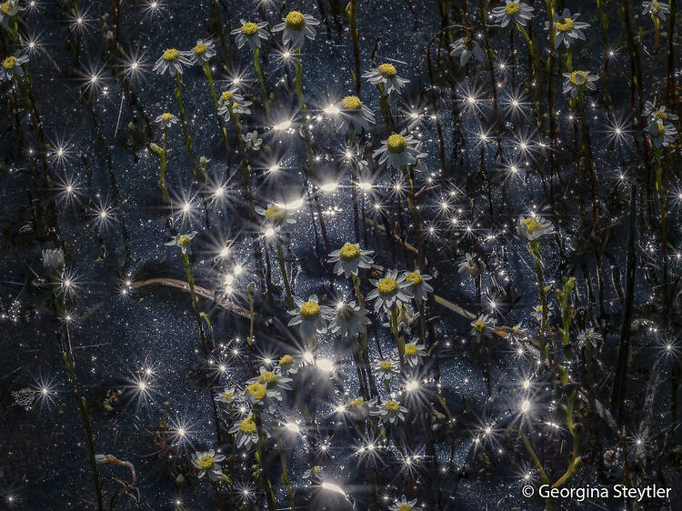 Explore the Australian Geographic Nature Photographer of the Year Explore the Australian Geographic Nature Photographer of the Year