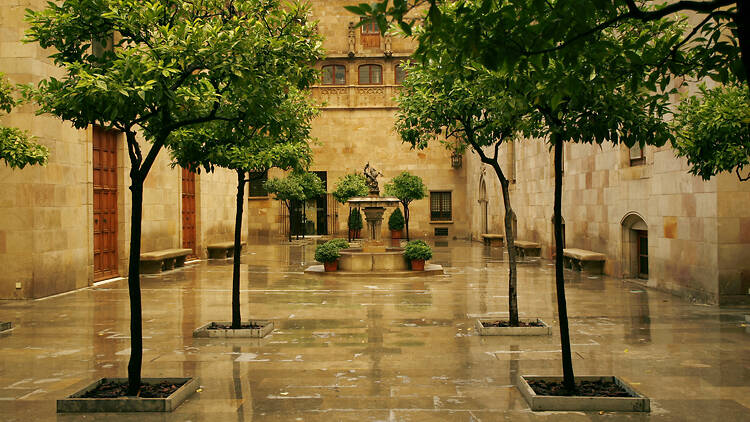 Pati dels Tarongers Pati dels Tarongers
